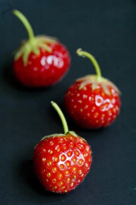 Framed Print : Black plate with red strawberries credit: Marie-Louise Avery  /  thePictureKitchen
