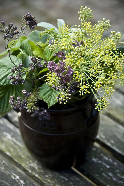 Bouquet of culinary herbs in swedish preserving crock credit: Marie-Louise Avery