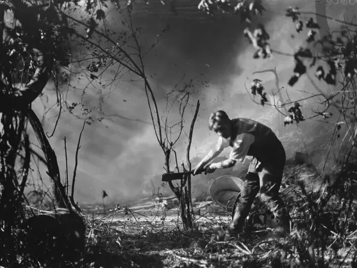 Framed Print : A boy cuts wood down after a fresh breakout of fire at the tyre dump in Ruxley Framed Print : A boy cuts wood down after a fresh breakout of fire at the tyre dump in Ruxley