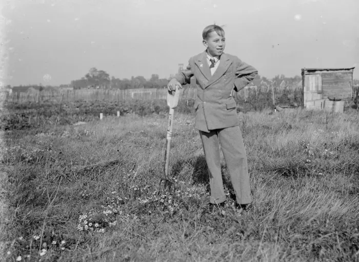Framed Print : Boy gardener. 1935 Framed Print : Boy gardener. 1935