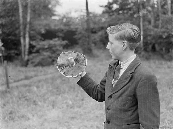 A boy holds up a giant mushroom. 1939