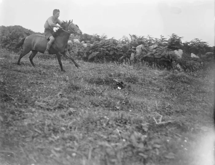 Framed Print : A boy riding a horse, bareback, galloping on a field. 1933 Framed Print : A boy riding a horse, bareback, galloping on a field. 1933