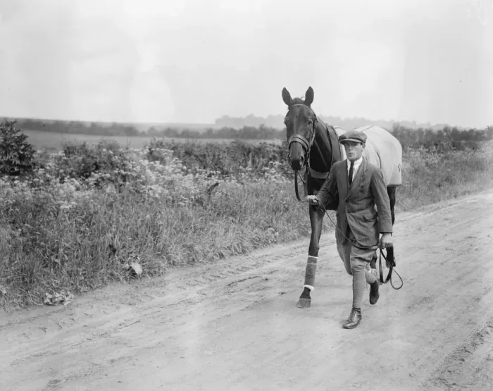 Framed Print : Brownhylda The racehorse. 3 June 1924 Framed Print : Brownhylda The racehorse. 3 June 1924