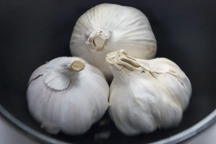 Framed Print : Three whole bulbs of garlic in black bowl credit: Marie-Louise Avery  /  thePictureKitchen