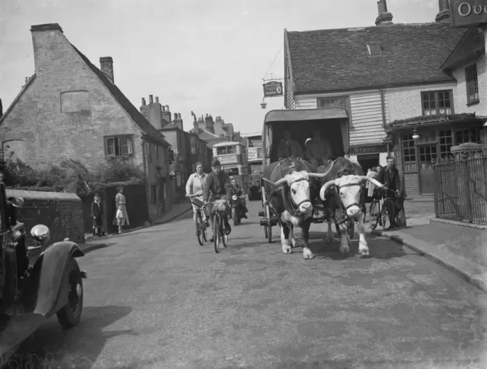 Framed Print : A bullock and cart in Sidcup, Kent. 1938 Framed Print : A bullock and cart in Sidcup, Kent. 1938