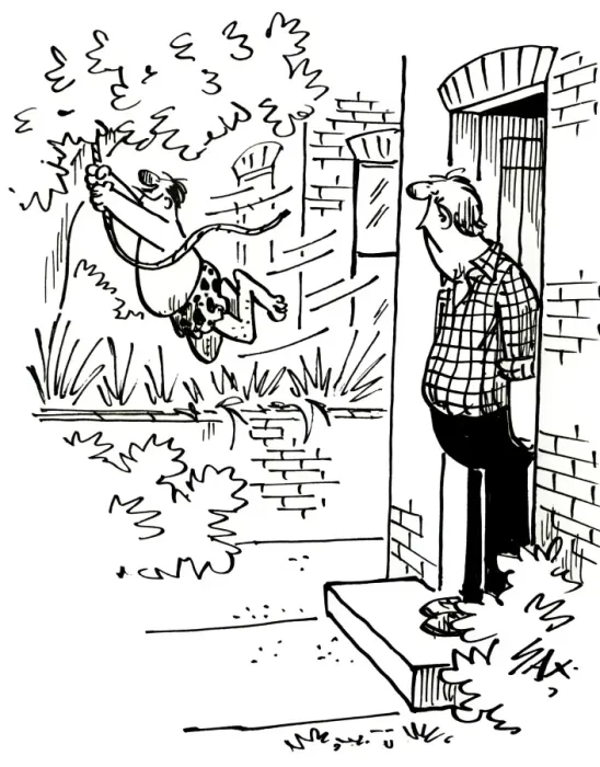 Framed Print : Cartoon by Sax When next doors garden becomes a jungle Framed Print : Cartoon by Sax When next doors garden becomes a jungle