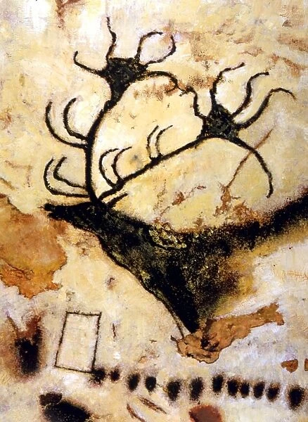 CAVE PAINTINGS Detail of cave paintings of a stag, from the Axial Gallery of Lascaux