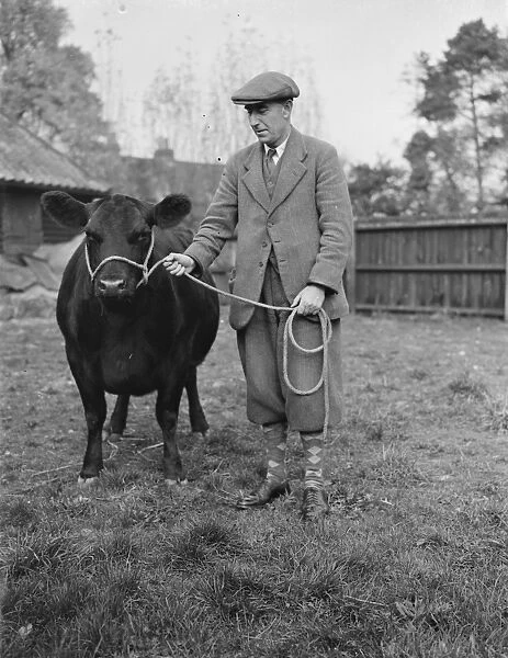 Cecil Twist, cattle agent. E Clifton Brown. Man standing with a cow