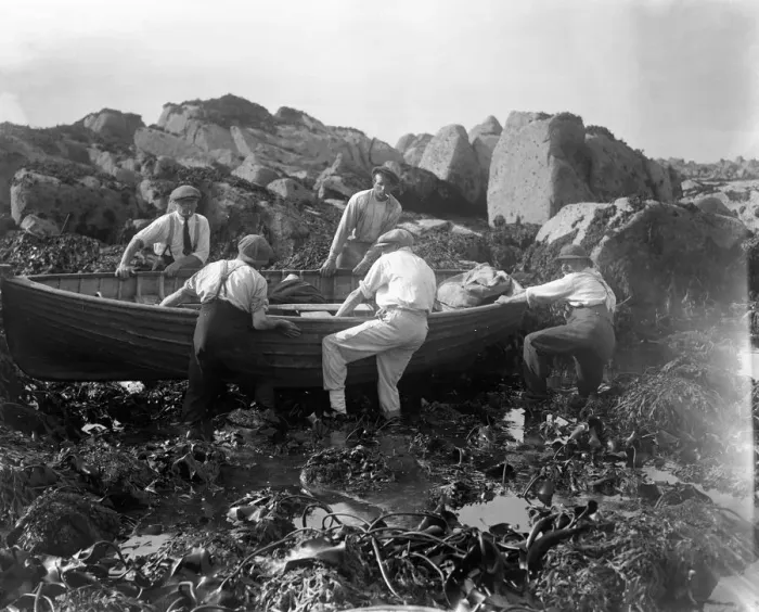 Framed Print : Channel Islanders trying to refloat their boat off the rocky seashore after gathering Framed Print : Channel Islanders trying to refloat their boat off the rocky seashore after gathering