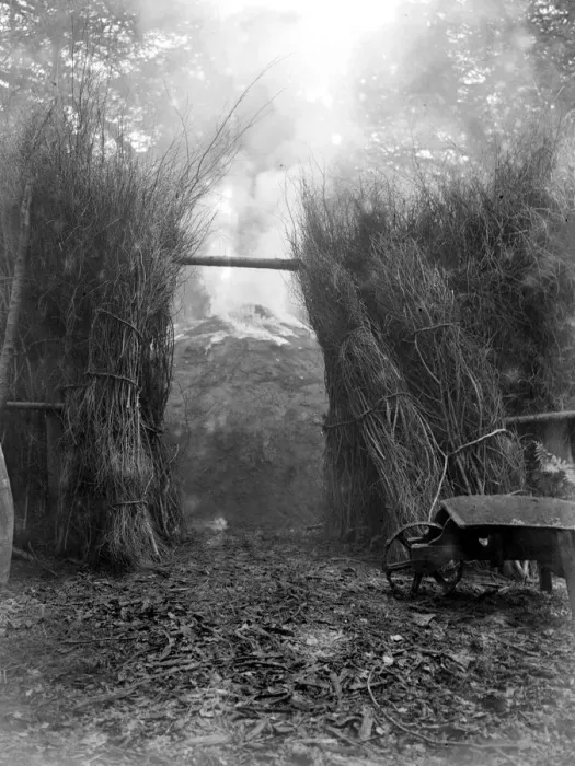 Framed Print : Charcoal burning for the trenches in the New Forest Framed Print : Charcoal burning for the trenches in the New Forest