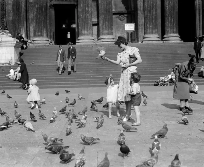 Framed Print : Children feeding the pigeons by the steps of St Pauls Cathedral, Saint Pauls Church Yard Framed Print : Children feeding the pigeons by the steps of St Pauls Cathedral, Saint Pauls Church Yard