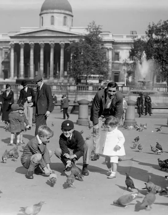 Framed Print : Children feeding the pigeons in Trafalgar Square with the columns of the National Framed Print : Children feeding the pigeons in Trafalgar Square with the columns of the National