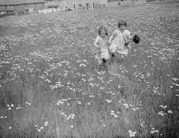 Children picking daisies. 1939