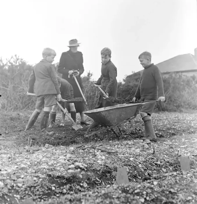 Framed Print : Cockney children from the Sydenham Road area of Croydon grow into farmers after evacuation
