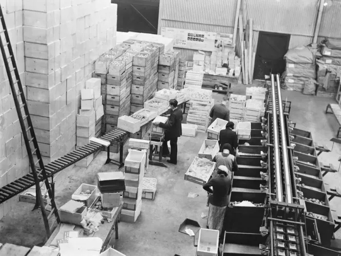 Framed Print : Cold storage plant. The sealing room. 1937 Framed Print : Cold storage plant. The sealing room. 1937