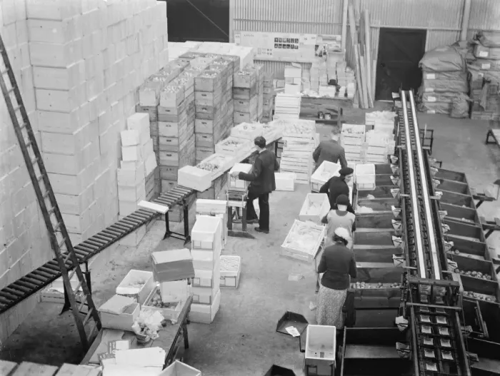 Framed Print : Cold storage plant. The sealing room. 1937 Framed Print : Cold storage plant. The sealing room. 1937