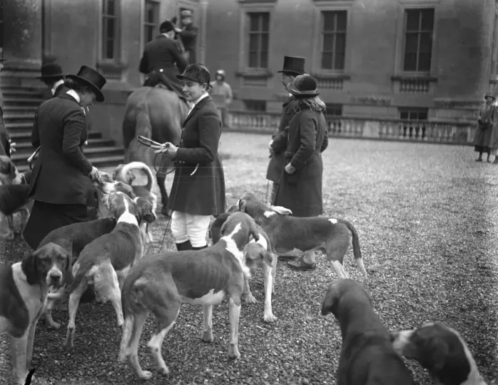 Framed Print : Coming of age of Lord Ailesburys heir : presentation at lawn meet of Tedworth Hounds Framed Print : Coming of age of Lord Ailesburys heir : presentation at lawn meet of Tedworth Hounds