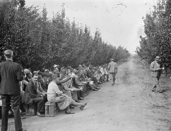 The Conference day at the East Malling Research Station in Kent. 14 September 1938