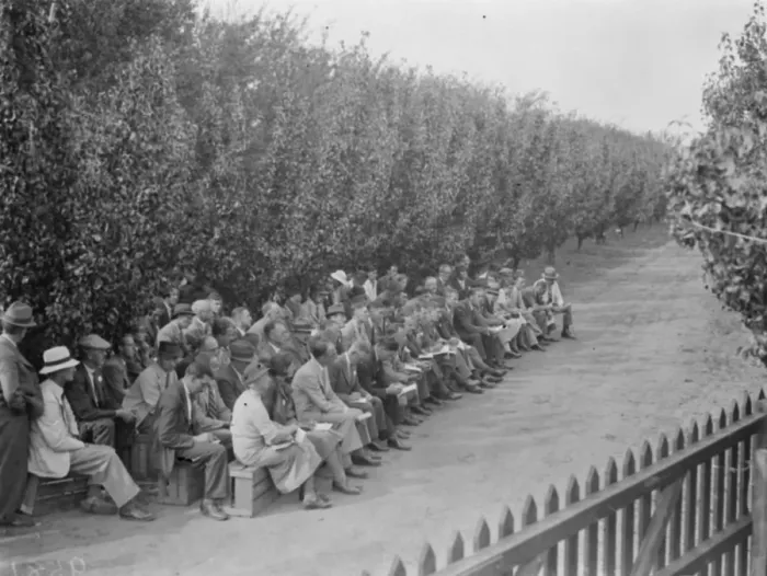 Framed Print : The Conference day at the East Malling Research Station in Kent. 14 September 1938 Framed Print : The Conference day at the East Malling Research Station in Kent. 14 September 1938