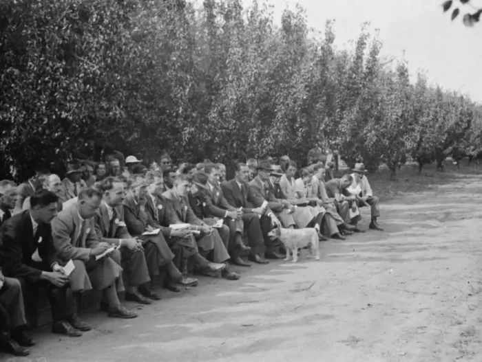 Framed Print : The Conference day at the East Malling Research Station in Kent. 14 September 1938 Framed Print : The Conference day at the East Malling Research Station in Kent. 14 September 1938