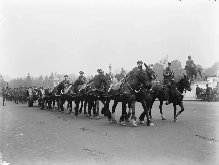 Framed Print : County of London troops march through London. Royal Garrison Artillery. 5 July 1919 Framed Print : County of London troops march through London. Royal Garrison Artillery. 5 July 1919