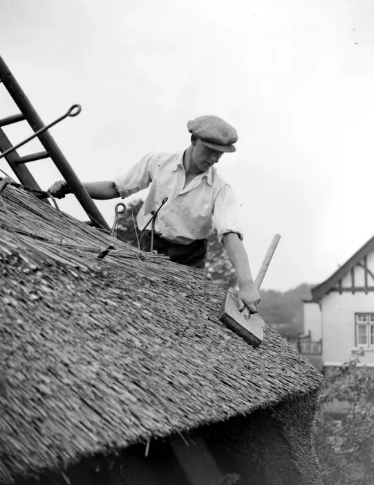 Framed Print : The craft of thatching - At work on thatching the picturesque Old Cottage Framed Print : The craft of thatching - At work on thatching the picturesque Old Cottage