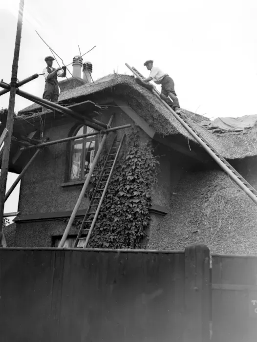 Framed Print : The craft of thatching - At work on thatching the picturesque Old Cottage ath Framed Print : The craft of thatching - At work on thatching the picturesque Old Cottage ath