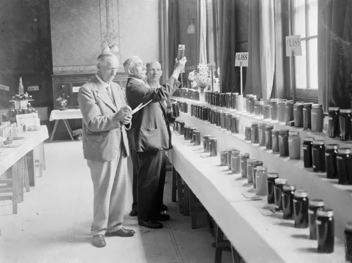 Framed Print : Crayford honey festival. 1935