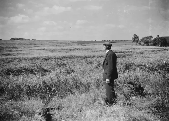 Framed Print : Damage to crops ( storm ). Farmer surveying his field. 1937