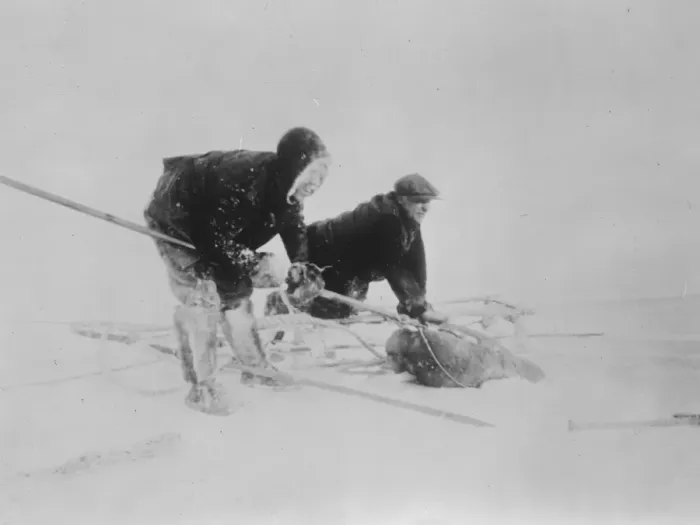Framed Print : Daring attempt to drift across polar sea. Helplessly locked in ice for twenty four months Framed Print : Daring attempt to drift across polar sea. Helplessly locked in ice for twenty four months