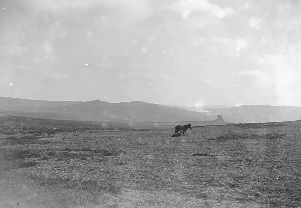 Dartmoor with ponies, Devon 1926