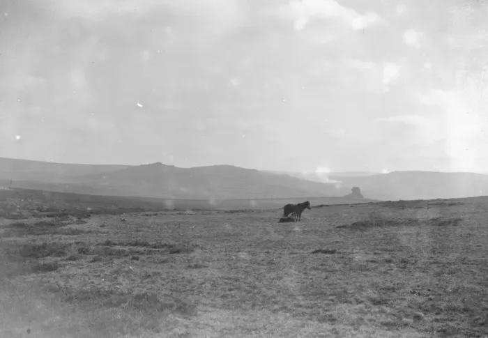 Framed Print : Dartmoor with ponies, Devon 1926 Framed Print : Dartmoor with ponies, Devon 1926