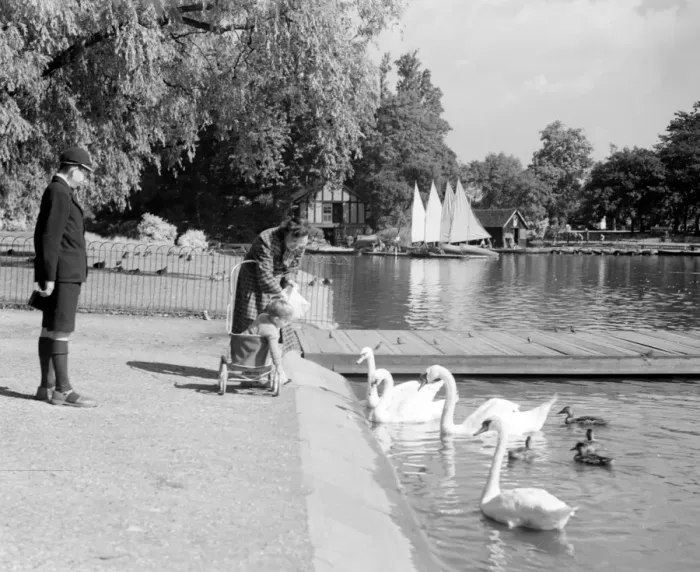 Framed Print : A day out at Regents Park, London - a mother with a child in a pushchair feeding Framed Print : A day out at Regents Park, London - a mother with a child in a pushchair feeding