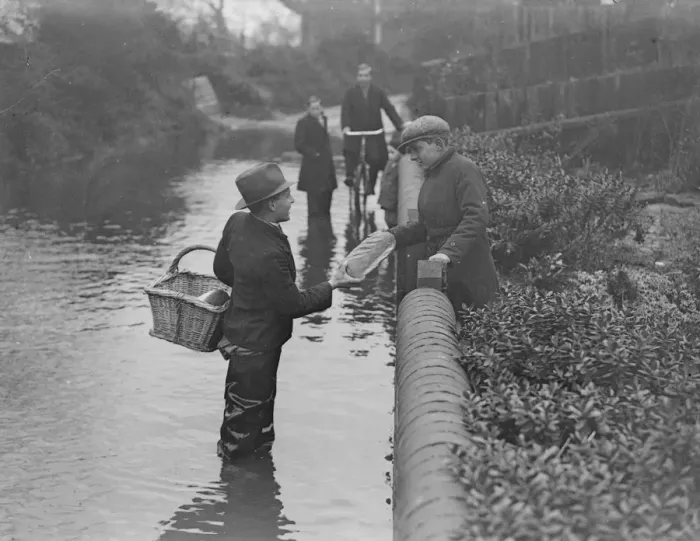 Framed Print : Delivering the goods. Despite the flood. Wading almost knee deep in the flood waters Framed Print : Delivering the goods. Despite the flood. Wading almost knee deep in the flood waters