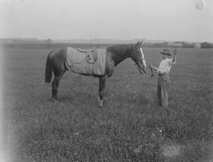 Framed Print : Derby favourite at Epsom. St Louis, at present favourite for the Derby. 30 May 1922 Framed Print : Derby favourite at Epsom. St Louis, at present favourite for the Derby. 30 May 1922