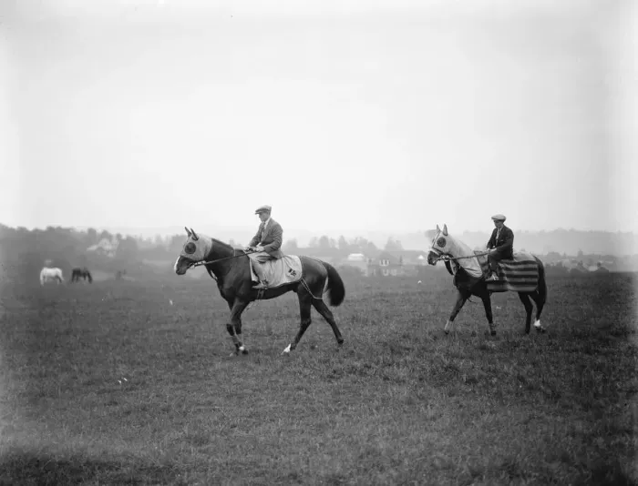 Framed Print : Derby horses at Epsom. Knockando Mr Gilpins second string for the Derby Framed Print : Derby horses at Epsom. Knockando Mr Gilpins second string for the Derby