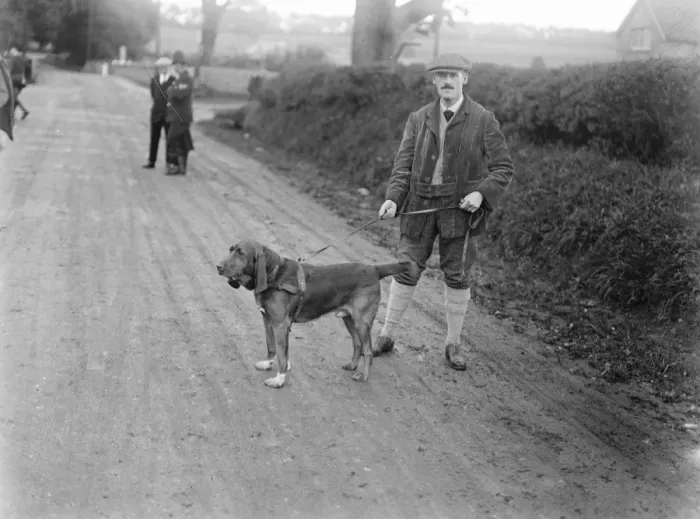 Framed Print : Dog detectives. Man hunting trials at Savernake. Mr Theo Crowder and his famous Framed Print : Dog detectives. Man hunting trials at Savernake. Mr Theo Crowder and his famous