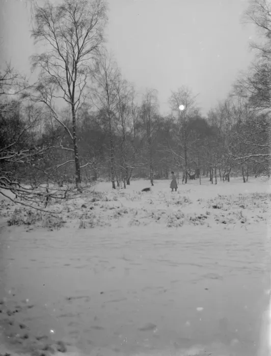 Framed Print : A dog walker enjoys the snow on Chislehurst Common, Kent. 1936