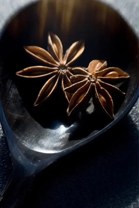 Framed Print : Dried Star anise fruits in small bowl. Also known as star aniseed, badiane or Chinese