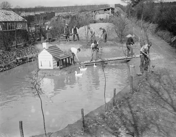Framed Print : The duck pond at Chailey 25 March 1920