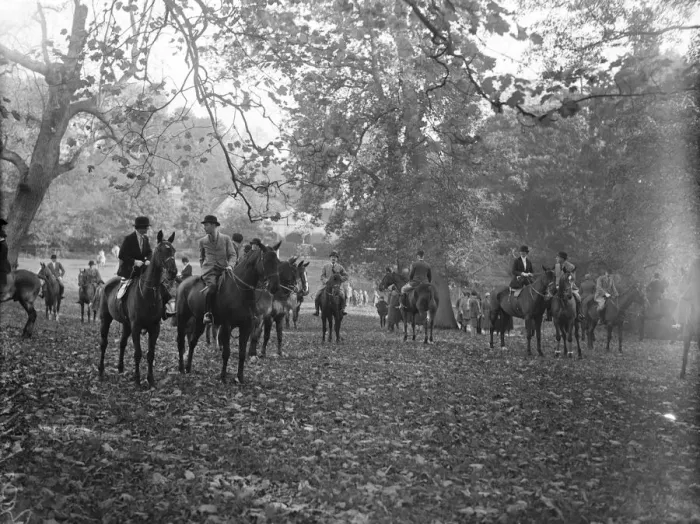Framed Print : Duke of York at Pytchley Cubbing Meet. 3 November 1928 Framed Print : Duke of York at Pytchley Cubbing Meet. 3 November 1928