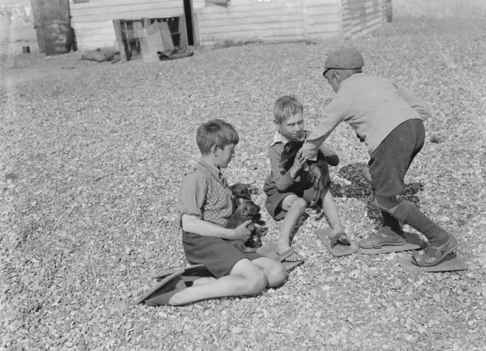 Framed Print : Dungeness beach. Boys with puppies. They use beach shoes to walk over the stones Framed Print : Dungeness beach. Boys with puppies. They use beach shoes to walk over the stones