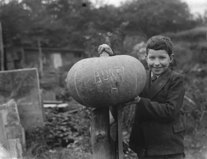 Framed Print : Edward Harrison from North Cray, Kent, poses with the pumpkin that he grew. 1938 Framed Print : Edward Harrison from North Cray, Kent, poses with the pumpkin that he grew. 1938