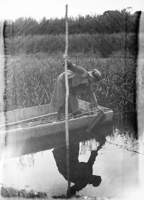 Framed Print : Eel fishing on the Hampshire river Avon 18 August 1920