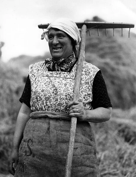 An elderly women, working on the farm, takes a break from raking the field
