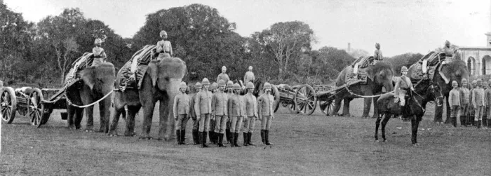 Framed Print : Elephant Battery Royal Artillery India 1895 Framed Print : Elephant Battery Royal Artillery India 1895