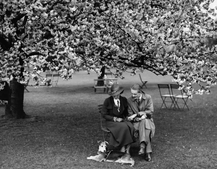 Framed Print : Enjoying the almond blossom in Kent - 1935 A TopFoto Framed Print : Enjoying the almond blossom in Kent - 1935 A TopFoto