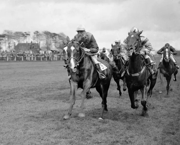 Framed Print : Epsom Spring Meeting. Light Sussex ( left ) and Play On Fighting it out Framed Print : Epsom Spring Meeting. Light Sussex ( left ) and Play On Fighting it out