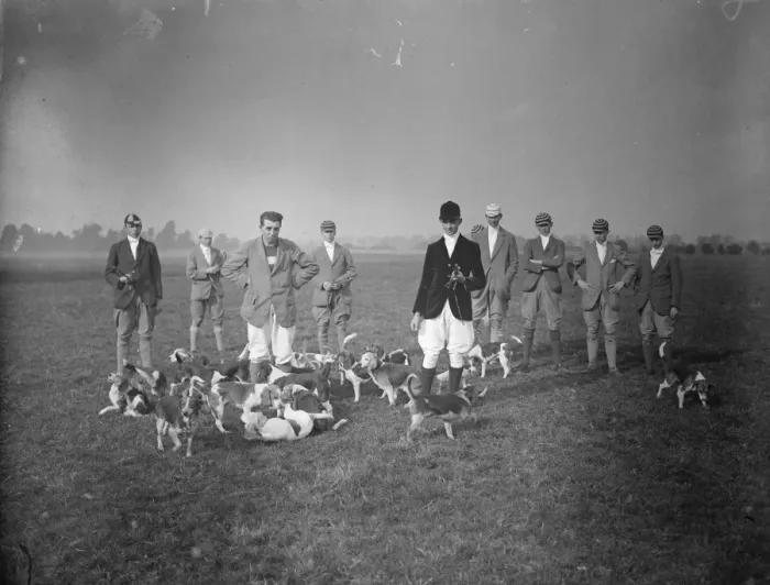 Framed Print : Eton beagles meet. The Eton College Beagles held their opening meet at the Pumping Framed Print : Eton beagles meet. The Eton College Beagles held their opening meet at the Pumping