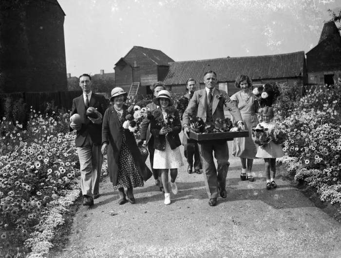 Framed Print : Exhibitors arriving with their produce a t the Lamorbey horticultural show, Kent Framed Print : Exhibitors arriving with their produce a t the Lamorbey horticultural show, Kent